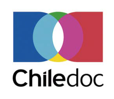 logo-chileserv